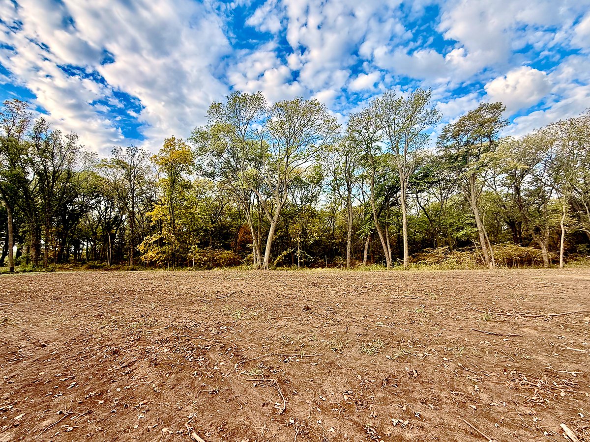 Cleared building lot bordered by a line of mature trees
