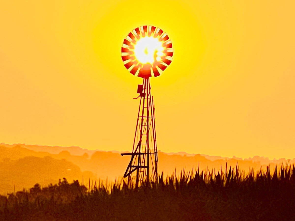 Windmill silhouetted against a golden sunset over an Iowa cornfield