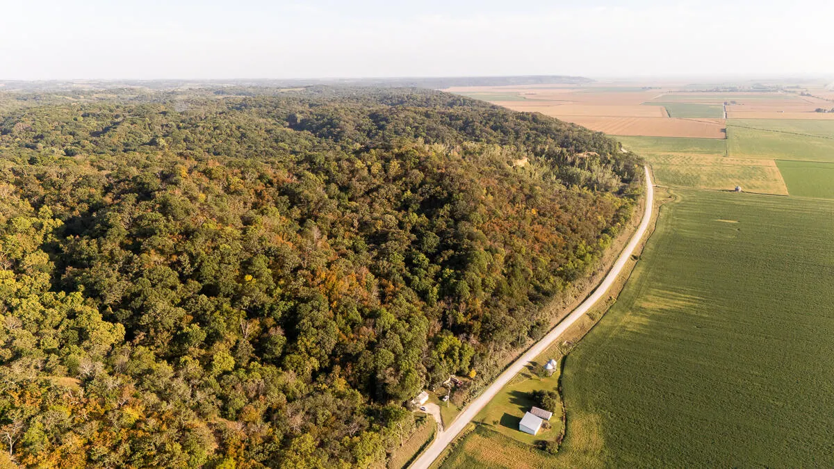 Aerial view of a heavily timbered hillside along a gravel road, with farm fields stretching toward the Missouri River bottom, on Painter Road near Pacific Junction, Iowa